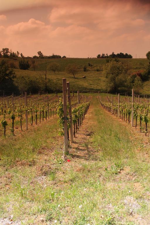 Agriturismo Le Casette Castelvetro di Modena Exterior foto